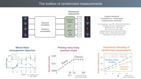 Statistical correlations of randomized measurements - A toolbox for probing synthetic quantum matter