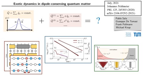Exotic dynamics in dipole-conserving quantum matter