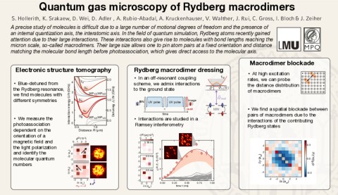 Quantum gas microscopy of Rydberg macrodimers