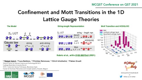 Confinement and Mott Transitions in the 1D Lattice Gauge Theories