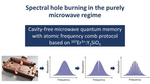 Spectral hole burning in the purely microwave regime