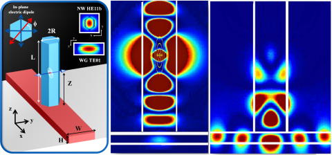Purcell enhanced coupling of nanowire quantum emitters to proximal waveguides