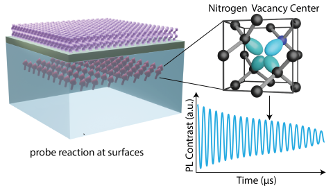 Surface NMR using quantum sensors in diamond