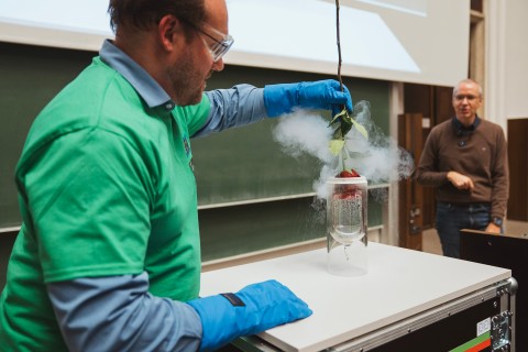 Freezing roses with liquid nitrogen