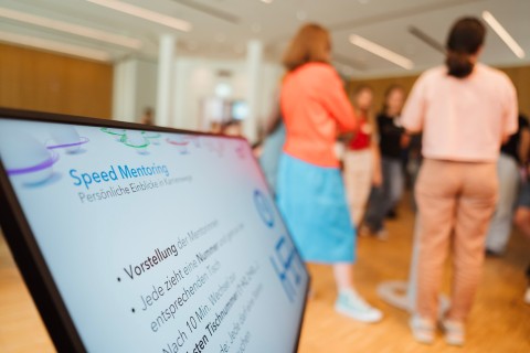 Speed Mentoring Session