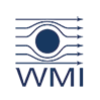 wmi-mini