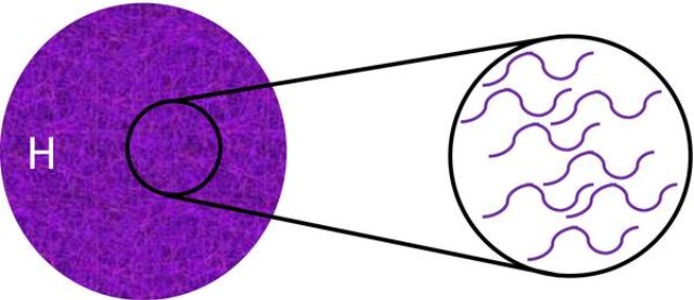 Graphich illustrationg a quantum substructure of de Sitter. Also this spacetime must possess a microscopic explanation for its entropy.