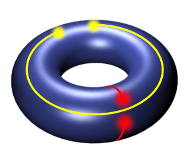 topology-pollmann