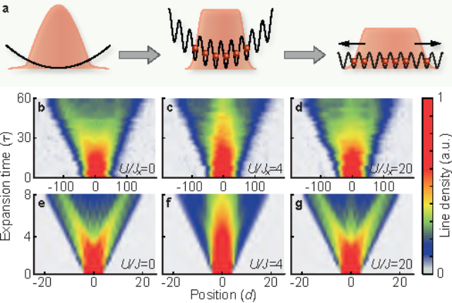 Scholl_ex_dynamics