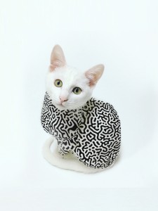White cat with fur covered by a geometric pattern.