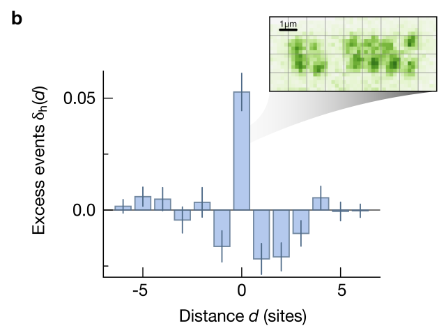 The graph shows an experimentally measured hole distribution, with a clear maximum at distance d=0, which corresponds to two neighbouring holes and shows that the holes pair. 