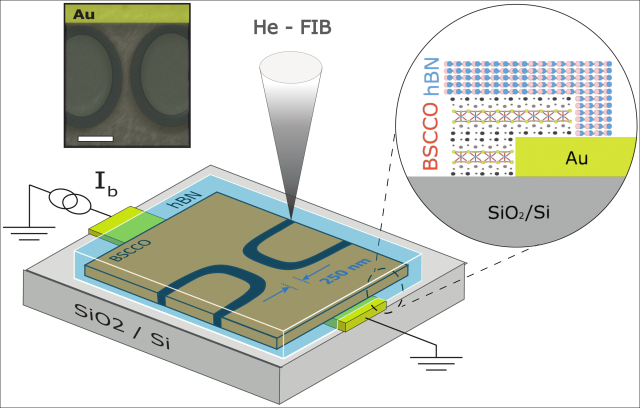 Schematic drawing of the van der Waals heterostructure we assemble. 