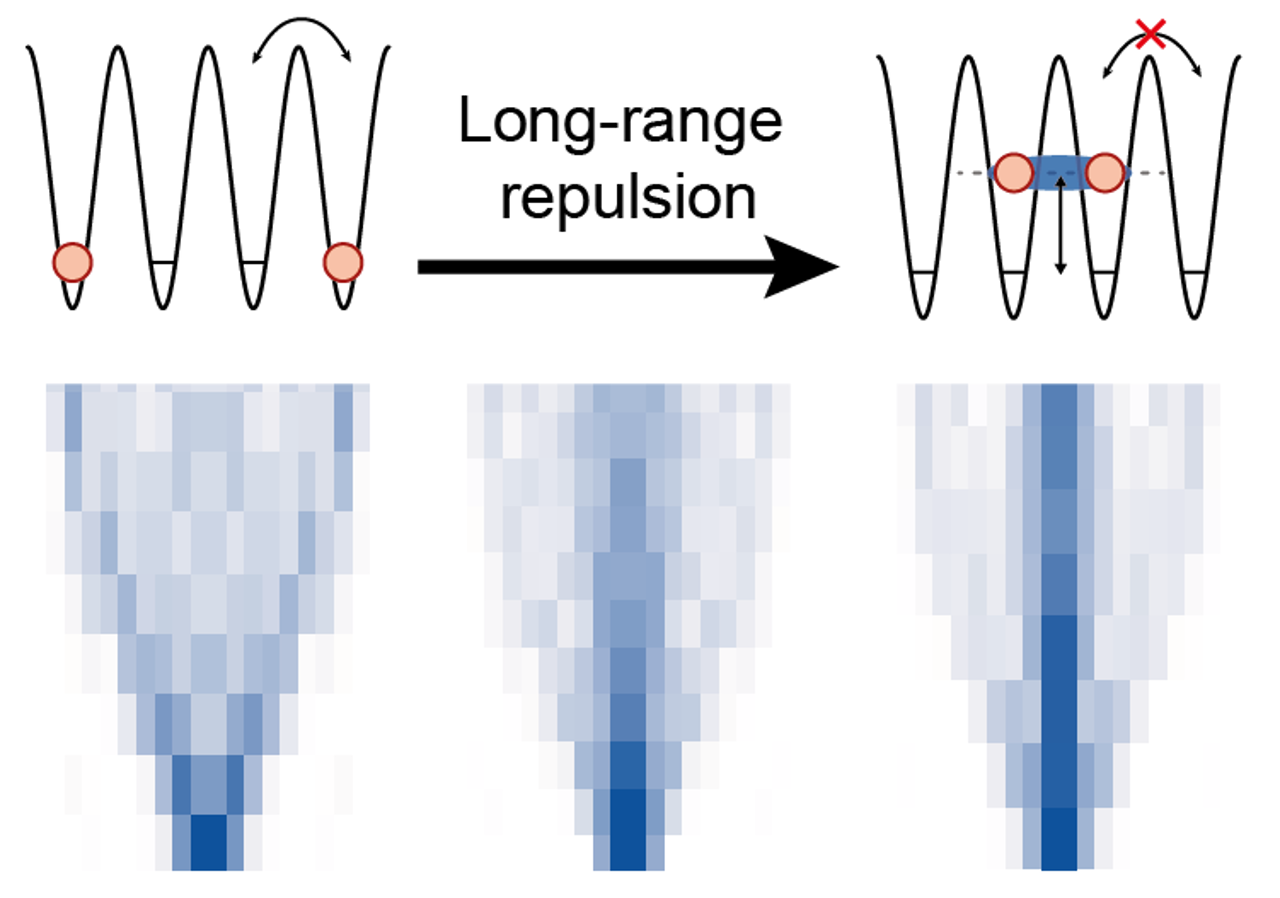 Illustration of the binding of atoms through long-range interactions, which ensure that the atoms move in pairs despite repulsion.