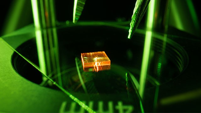 _0001_Thumb_RA5_DSC01850-Bearbeitet