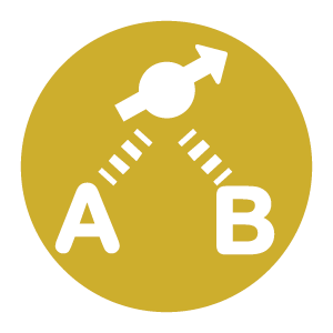 RA-3: Quantum Networks