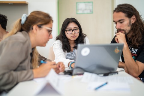Working in Groups